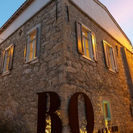Bo